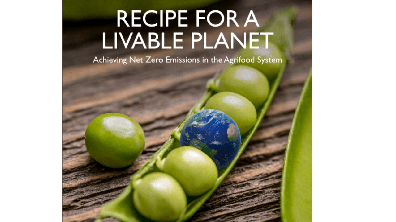 Front cover of the World Bank's Recipe for a Livable Planet report.