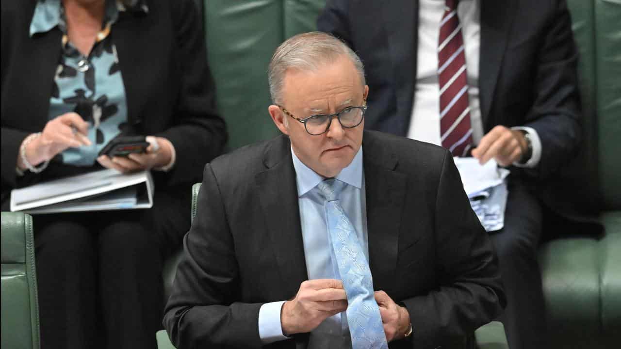 Anthony Albanese in parliament