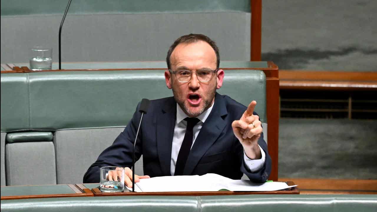 Adam Bandt in parliament