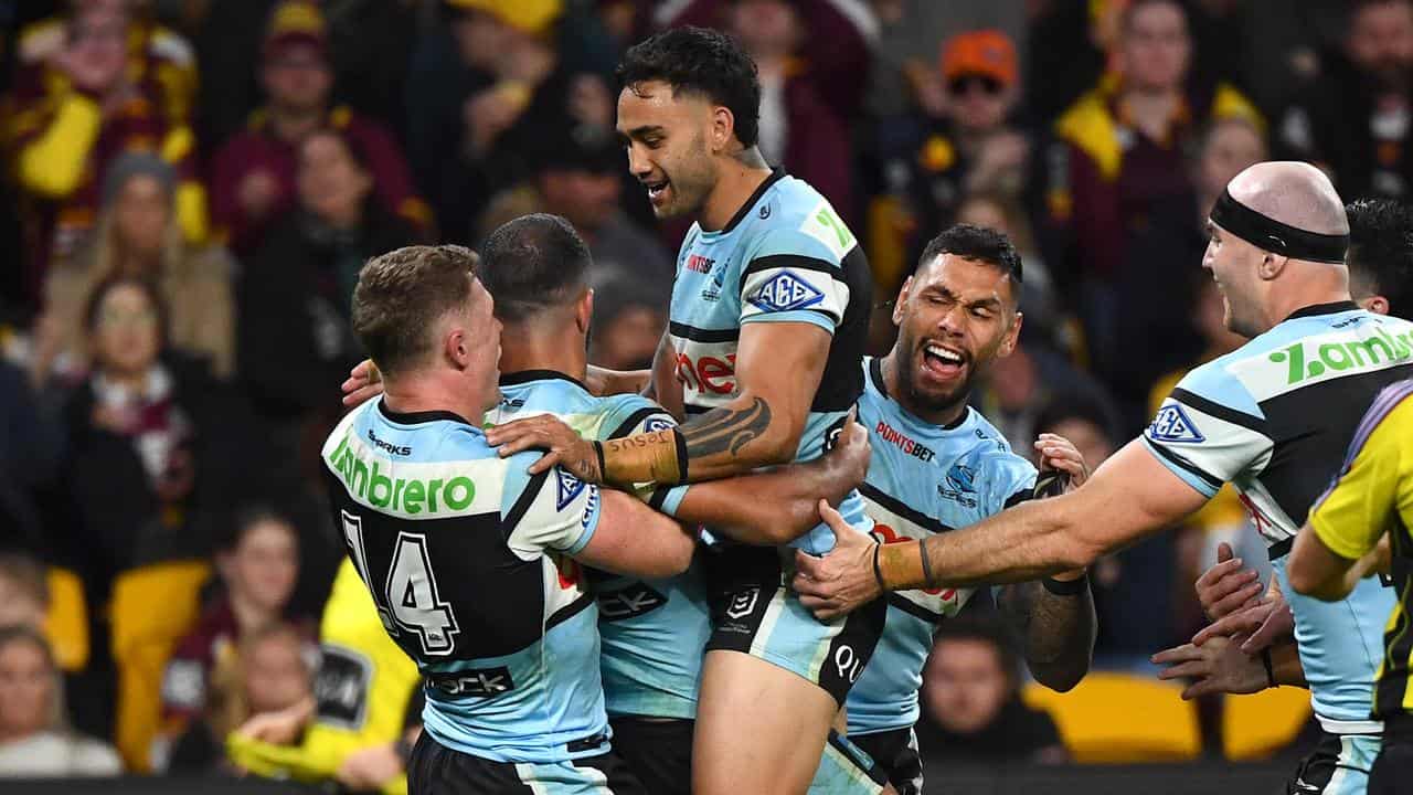 Sharks celebrate