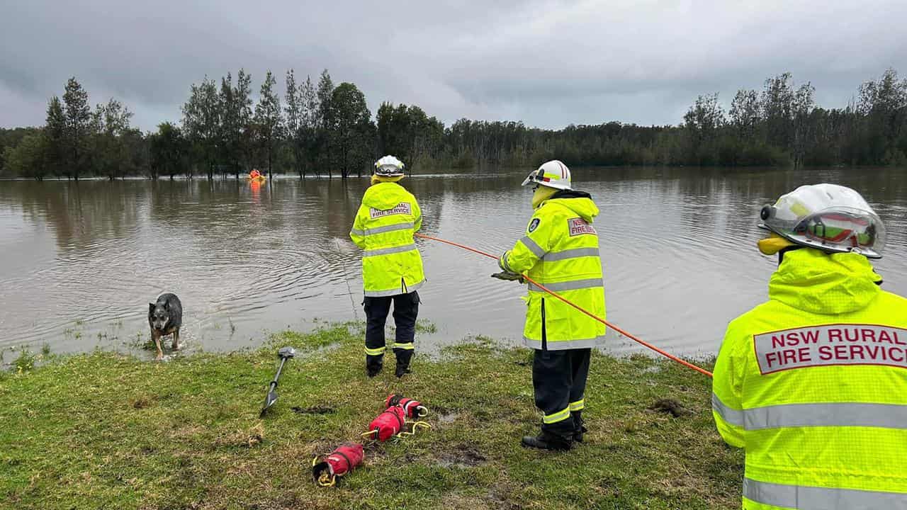 Rescue crew in action at Woollamia