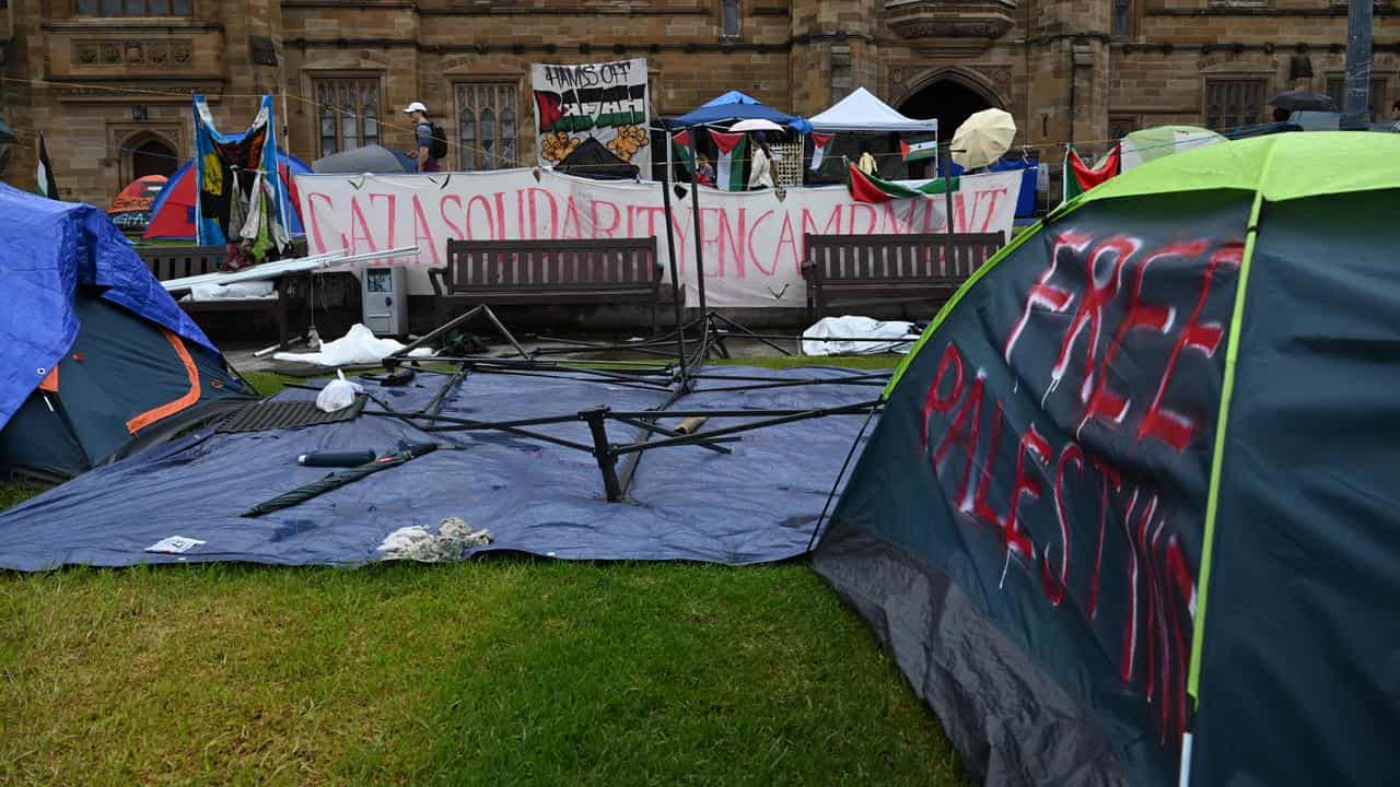 Tents on the University of Sydney campus.