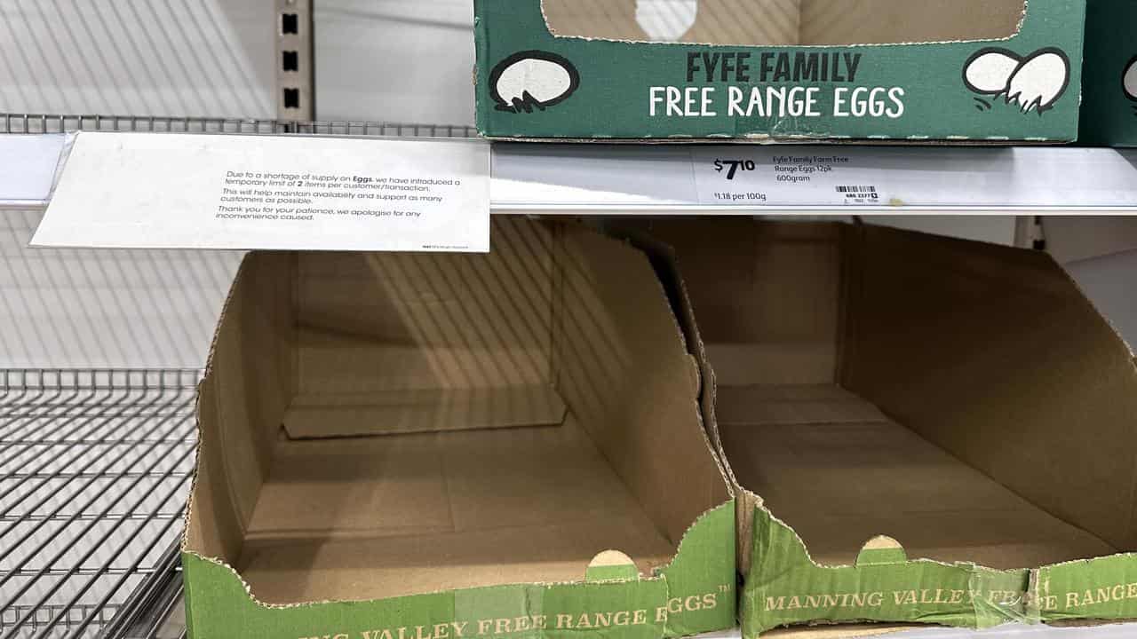 Empty shelves and a sign advising of egg rationing at a Coles 