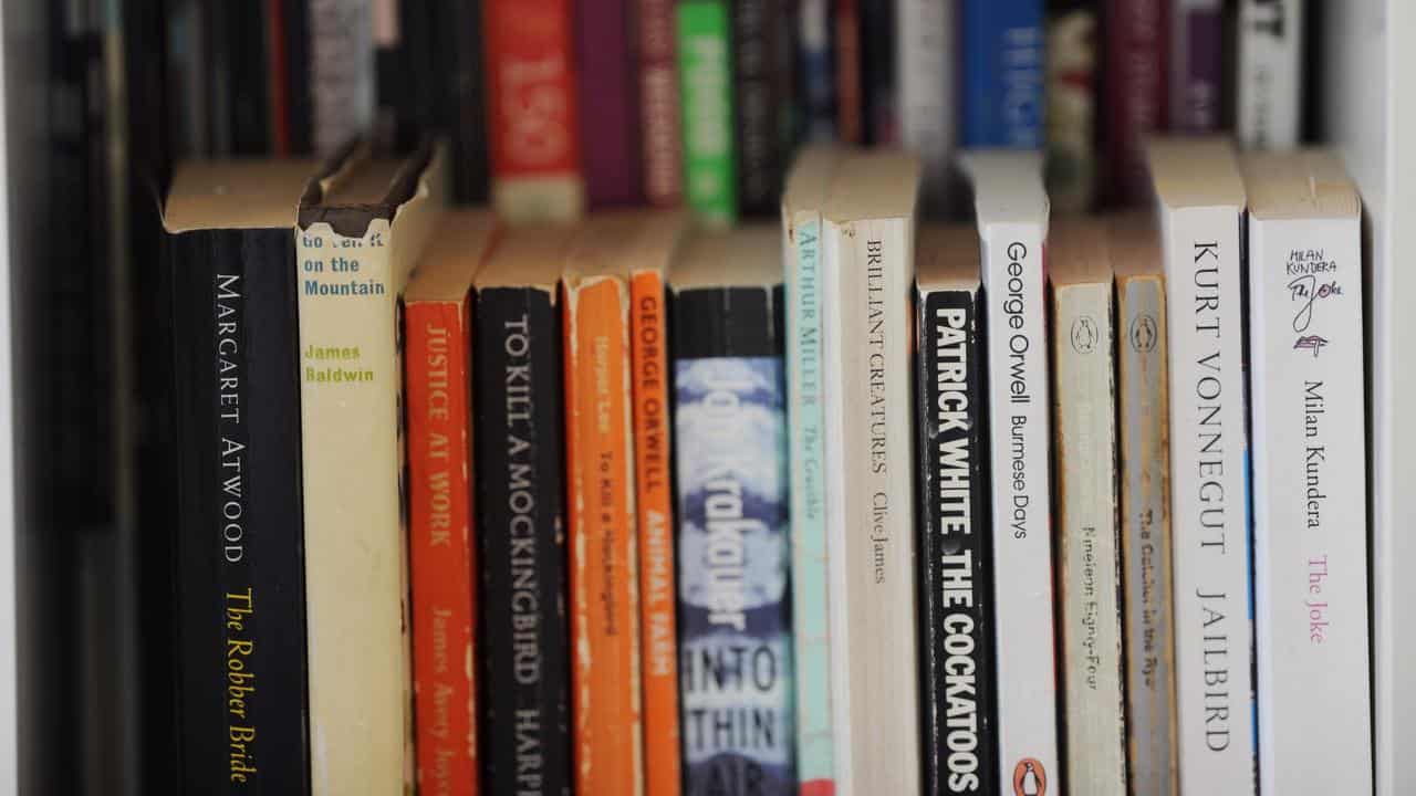 Books are seen on a book shelf 