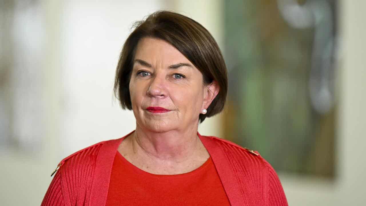 CEO of the Australian Banking Association Anna Bligh