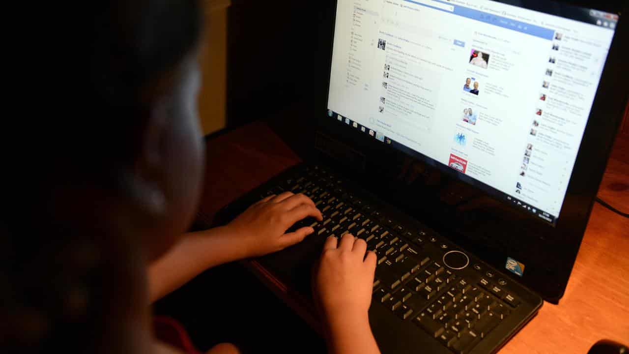 A young girl on a laptop (file image)