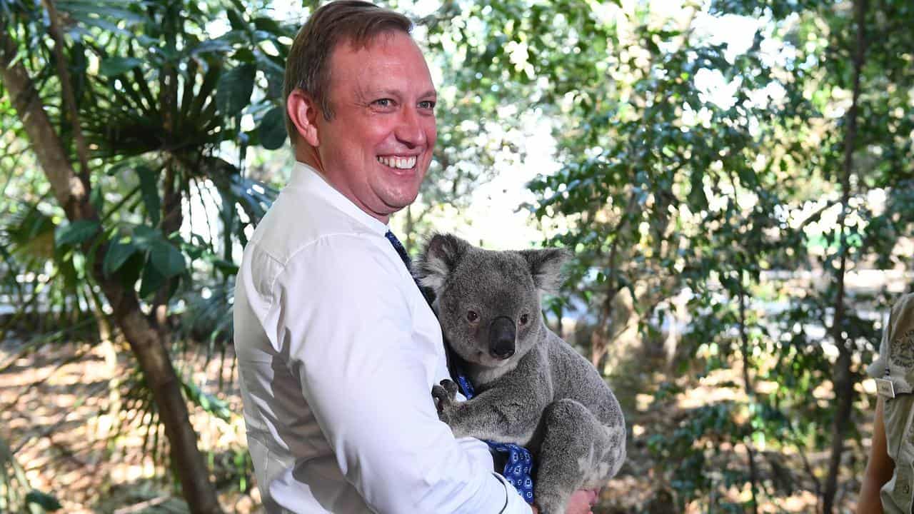 Steven Miles poses with a koala at the Lone Pine Koala Sanctuary.