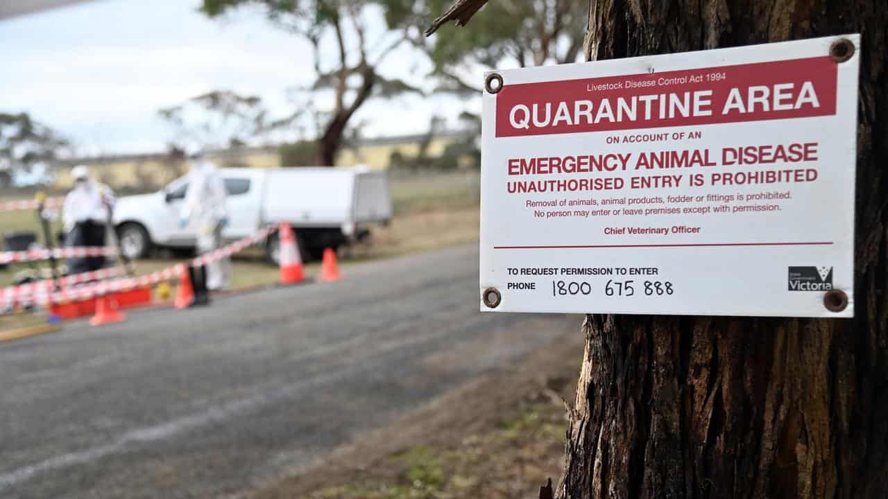 A photo of a bird flu quarantine area sign in Victoria.