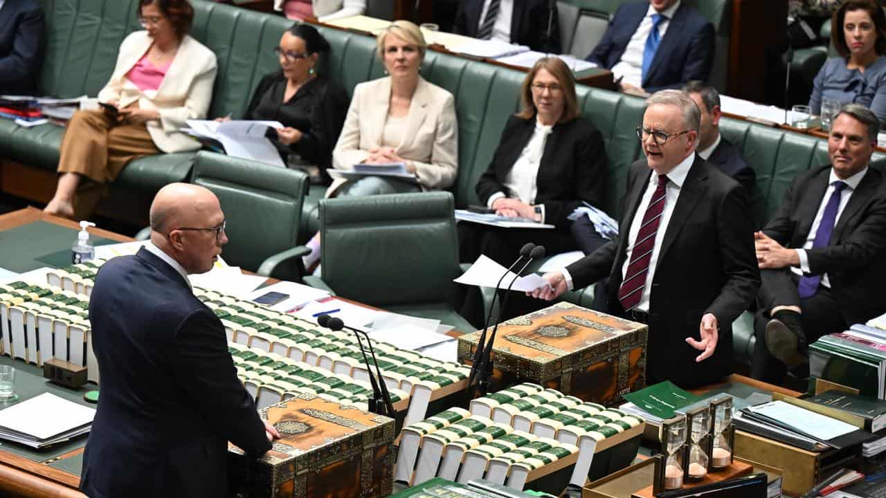 Anthony Albanese and Peter Dutton during question time