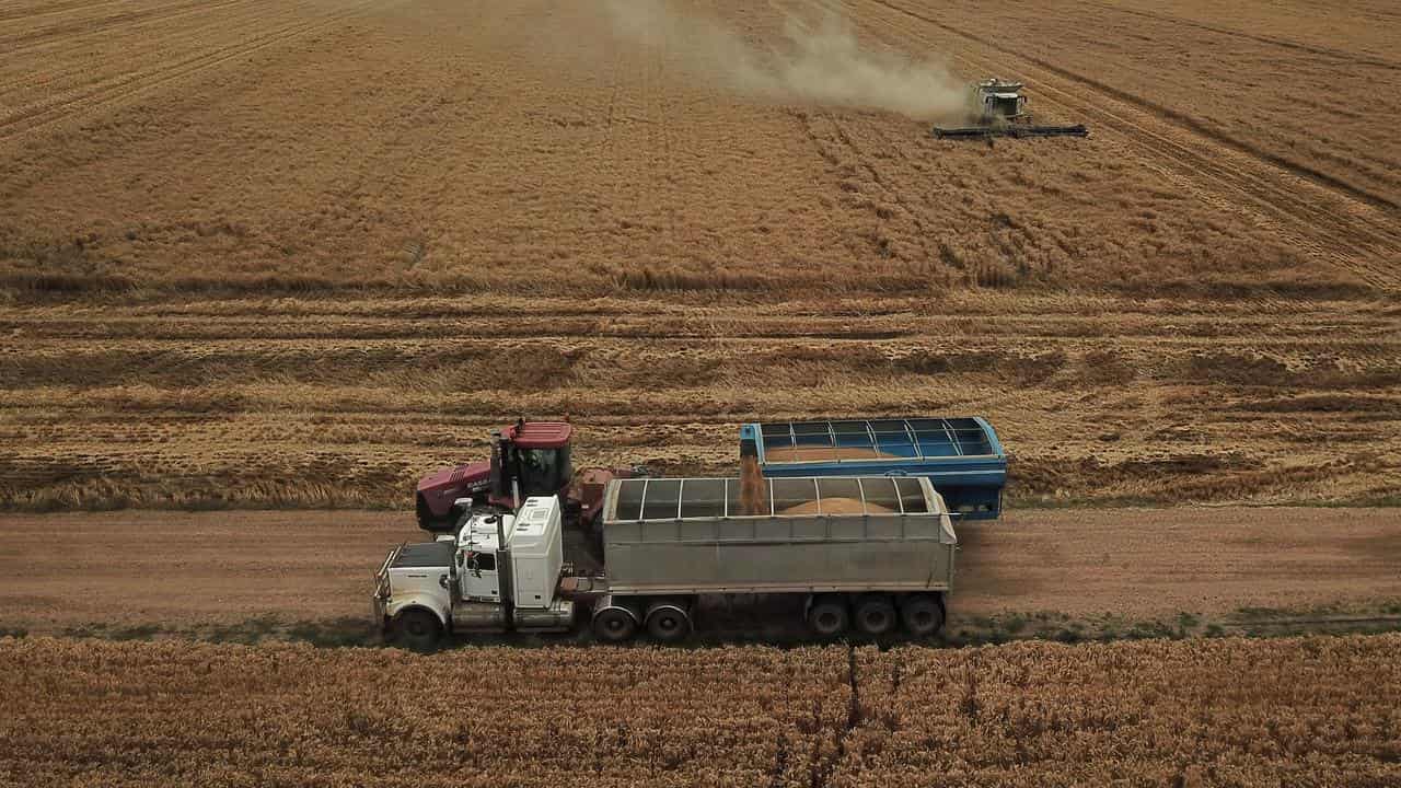 NSW farming