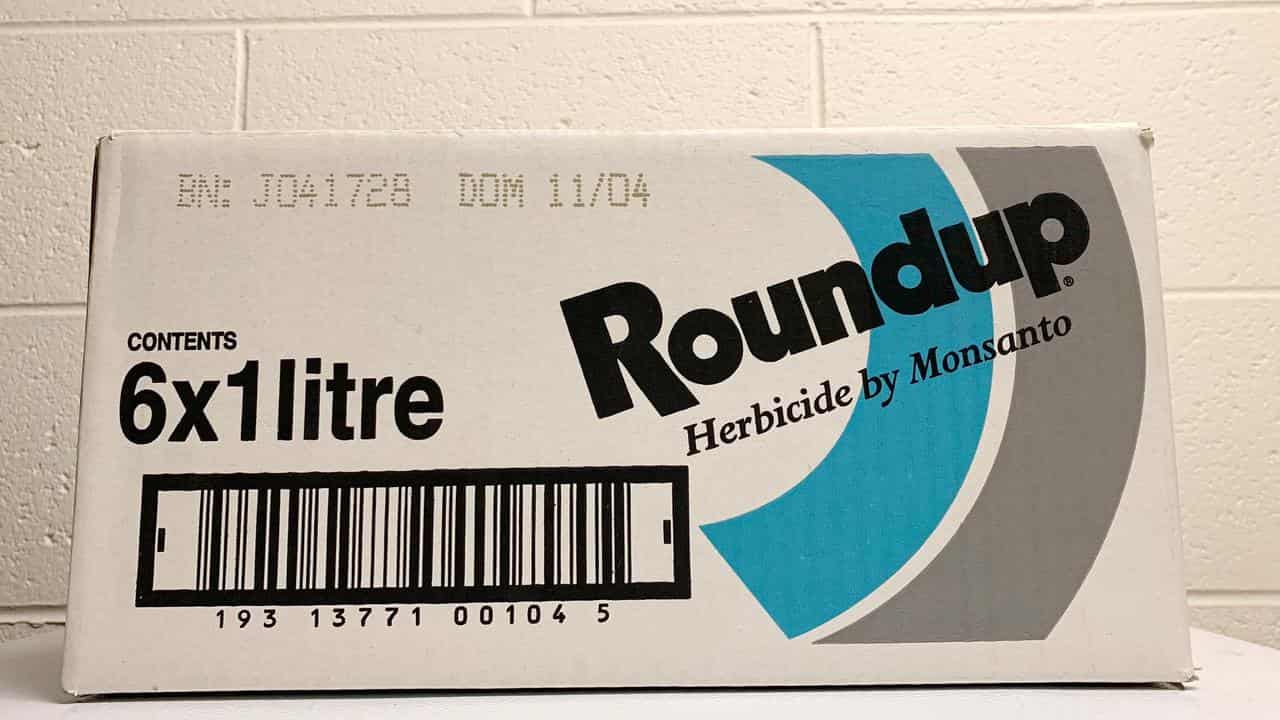 A box of Monsanto's Roundup