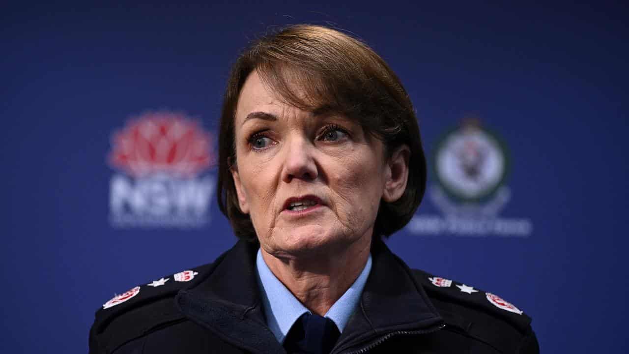 NSW Police Commissioner Karen Webb (file image)