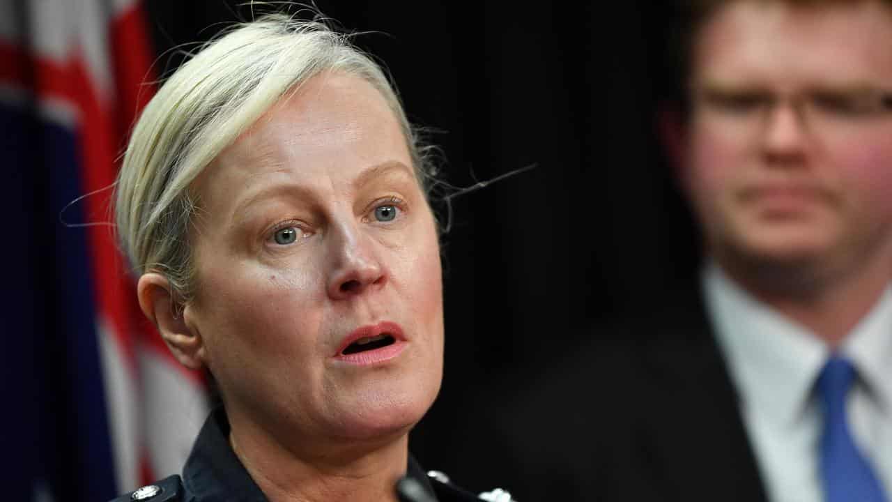 Deputy Police Commissioner Linda Williams (file image)