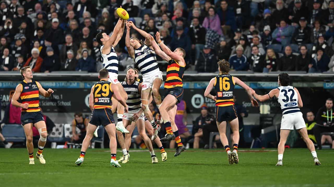 Geelong and Adelaide players contest a mark.