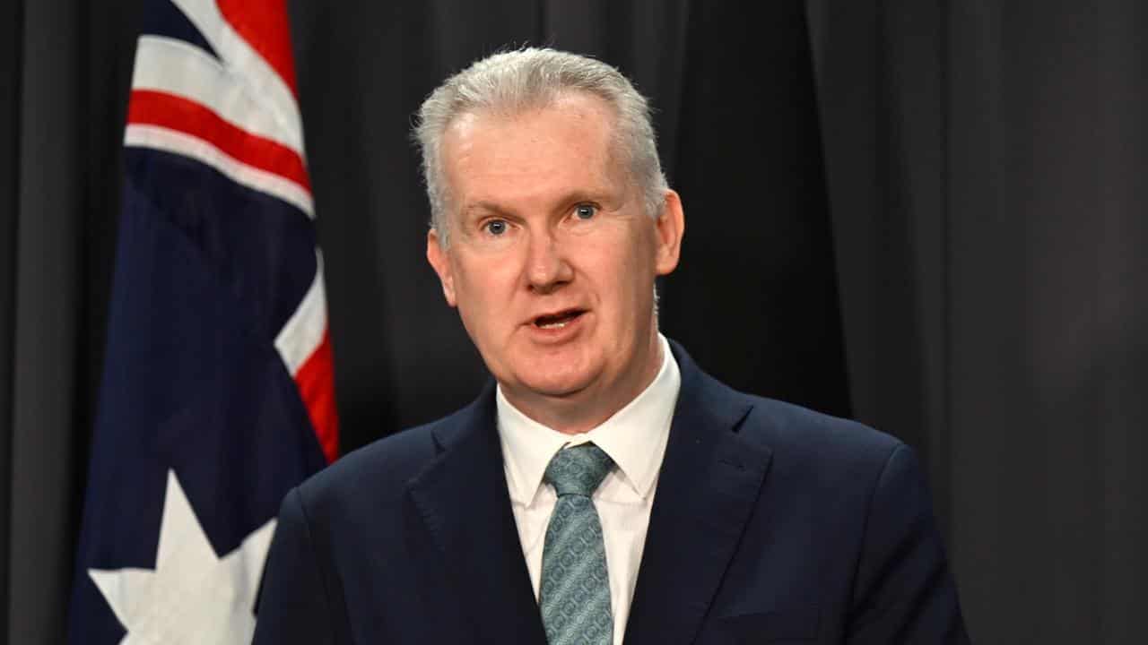 A file photo of Tony Burke 