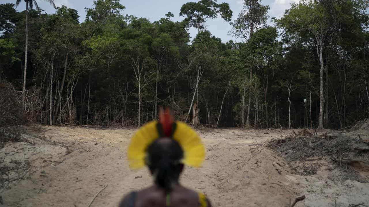 Indigenous Chief Kadjyre Kayapo looks out at a path created by loggers