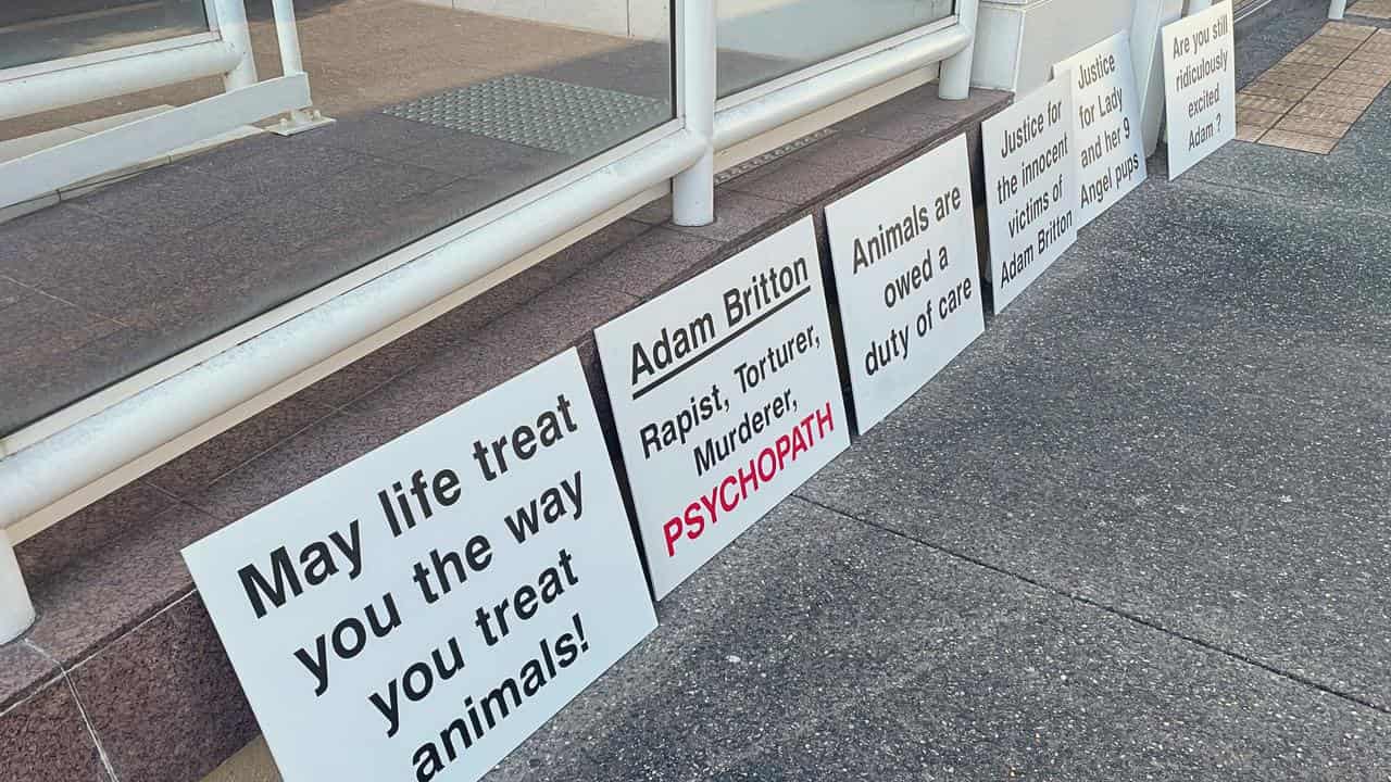 Animal advocates' signs before Adam Britton's sentencing