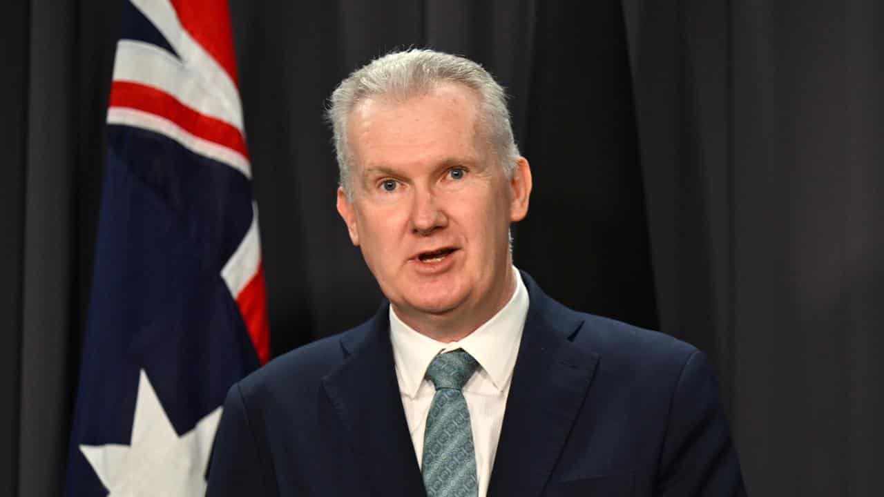 Multicultural Affairs Minister Tony Burke