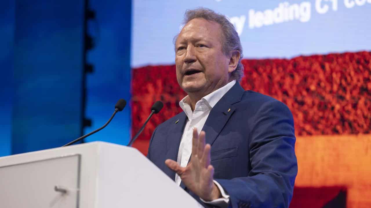 Andrew Forrest (file image)