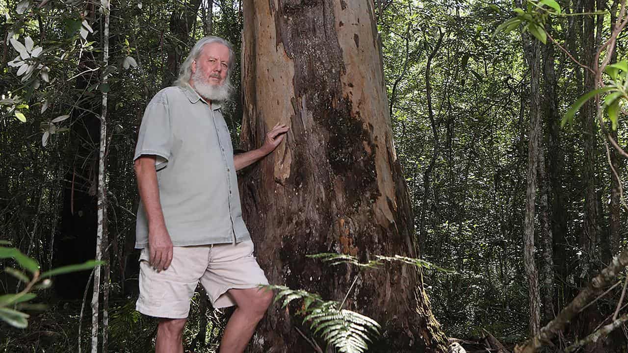 Conservationist Dailan Pugh in Washpool National Park