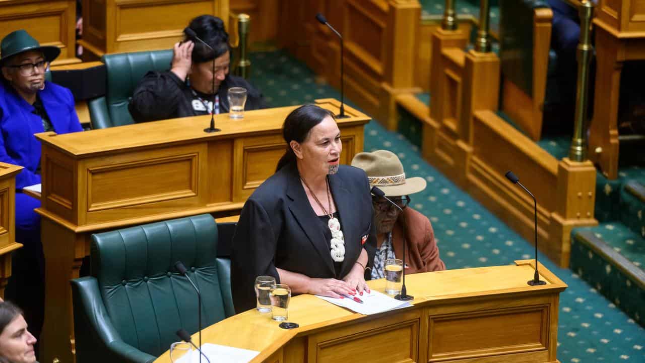 Maori party co-leader speaking in Parliament