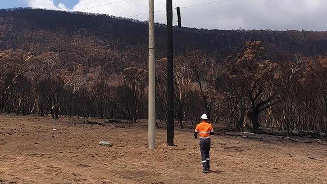 A manufactured power pole beside a blackened timber pole