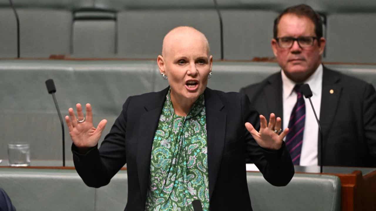 Labor MP Peta Murphy speaks in federal parliament