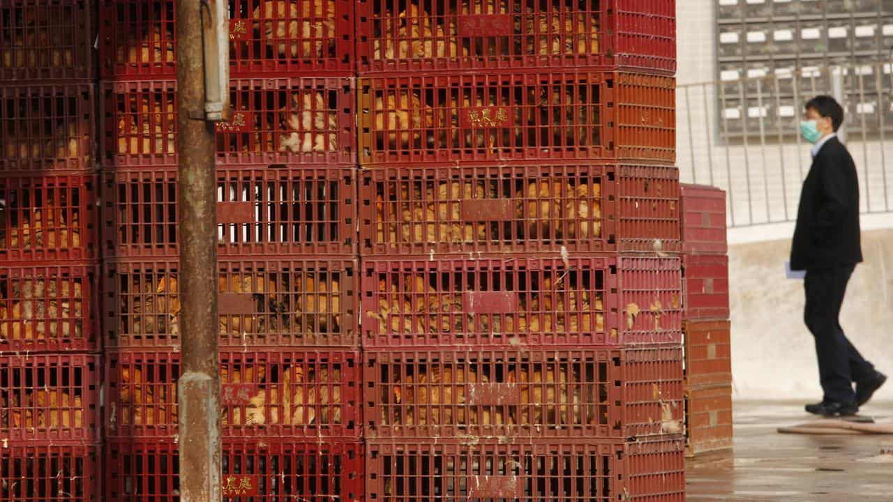 A man with a face mask walks past chicken cages at a Hong Kong market.