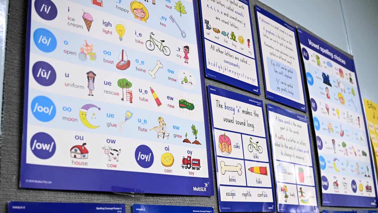 Educational posters at a primary school (file image)