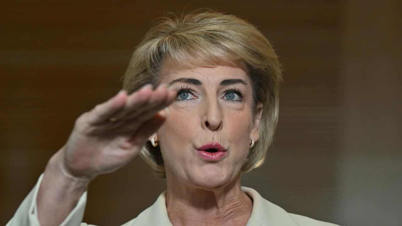 Shadow Attorney General Michaelia Cash