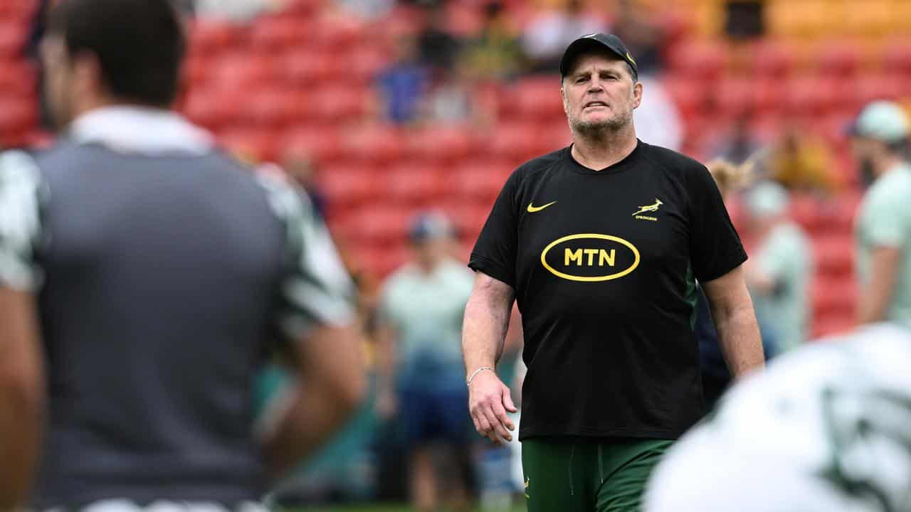 Springboks coach Rassie Erasmus.