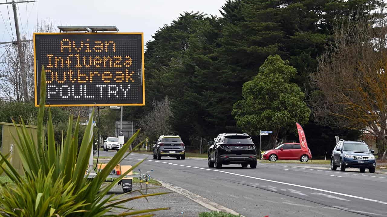 A warning sign about the avian influenza outbreak (file image)