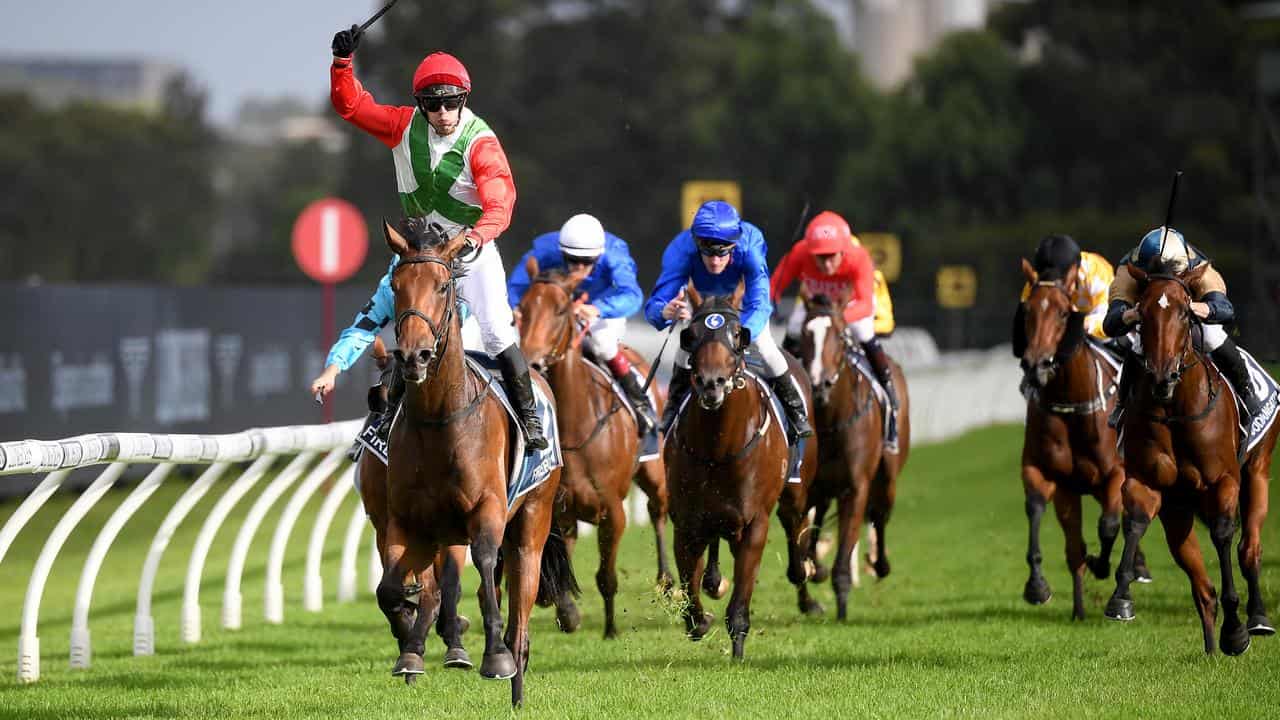 Horse racing at Rosehill