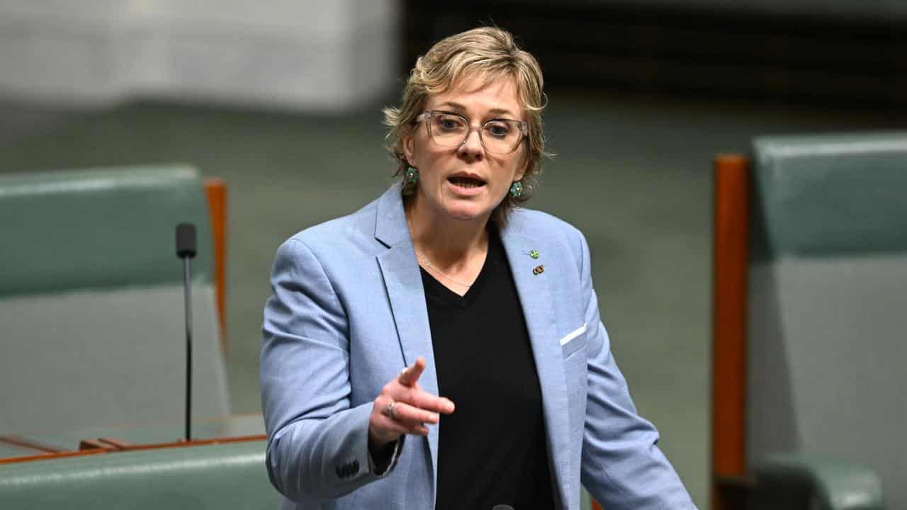 Independent MP Zali Steggall