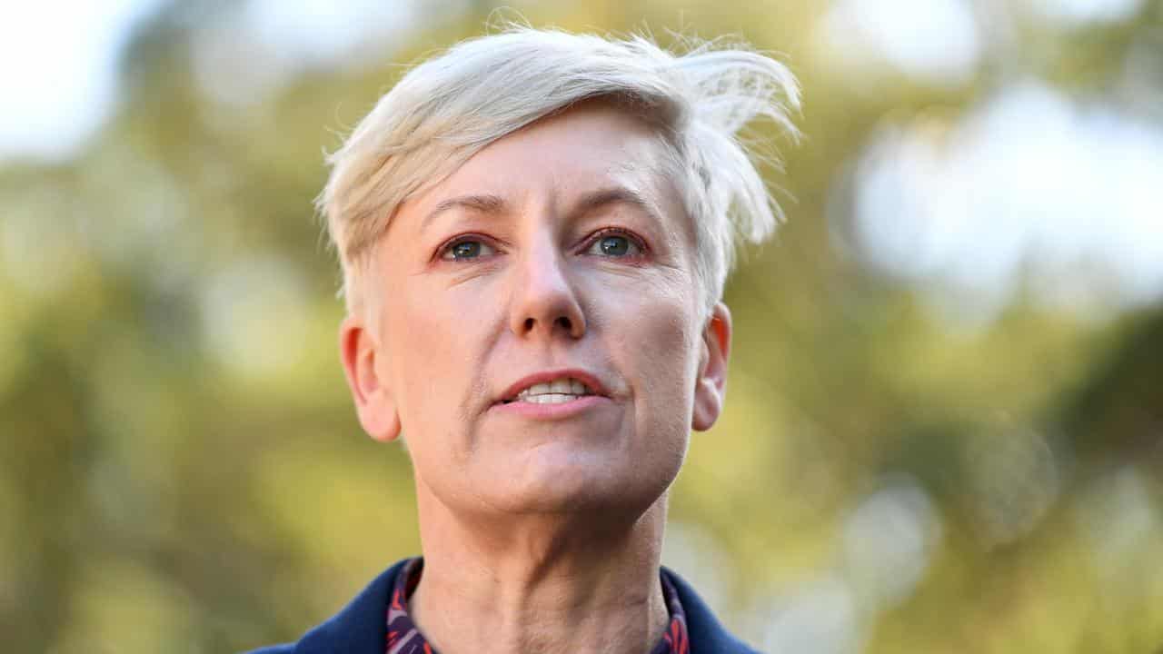 NSW Greens MP Cate Faehrmann (file image)