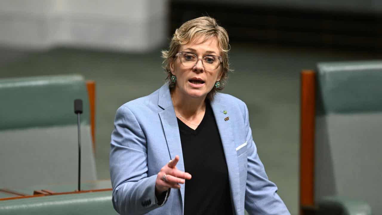 Independent MP for Warringah Zali Steggall