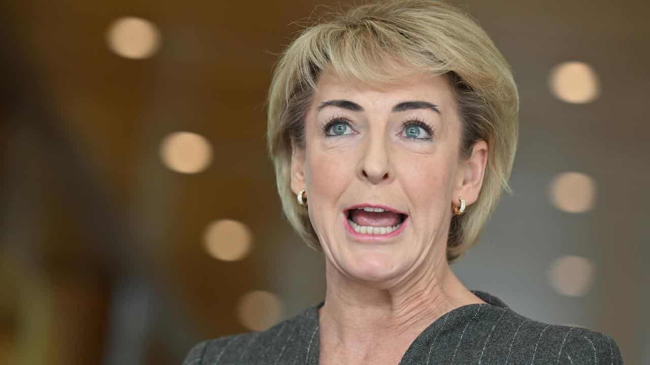 Shadow Attorney General Michaelia Cash