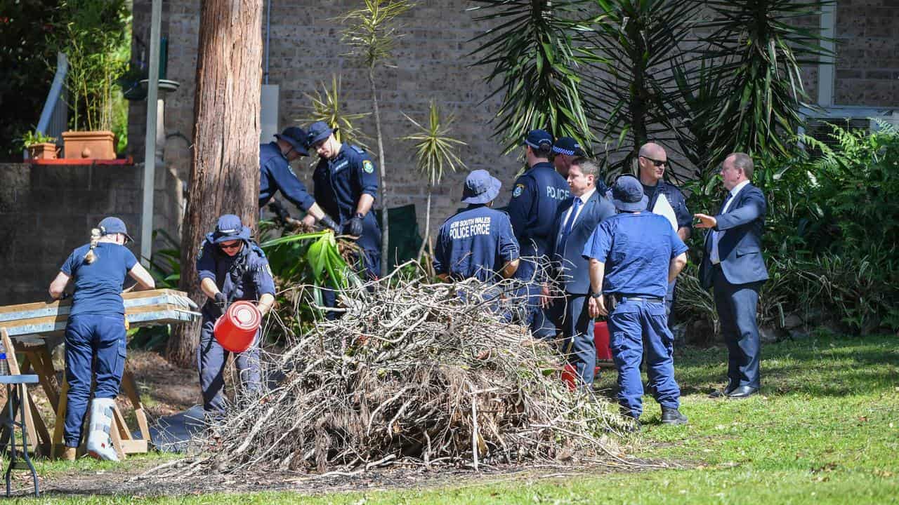 Police search for William Tyrrell (file image)