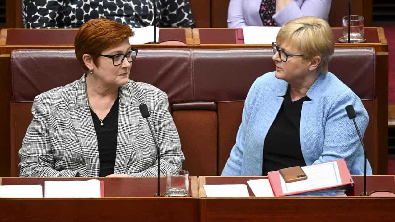 Marise Payne and Linda Reynolds (file image)