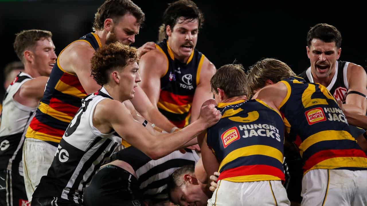 Melee between Port Adelaide and Adelaide players.