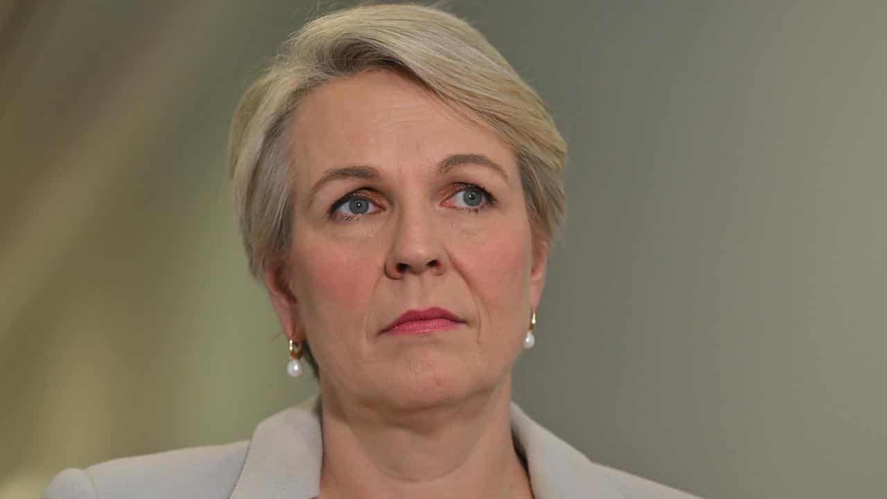 Environment Minister Tanya Plibersek