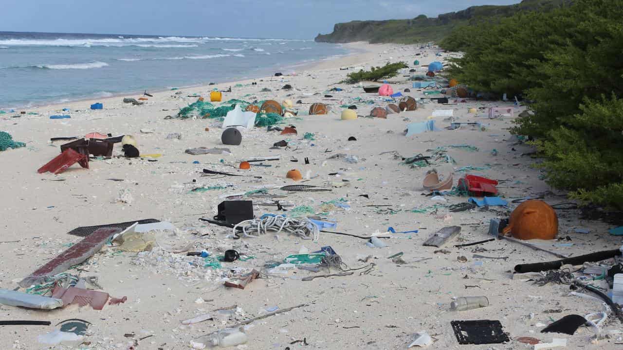 Henderson Island in the south Pacific Ocean