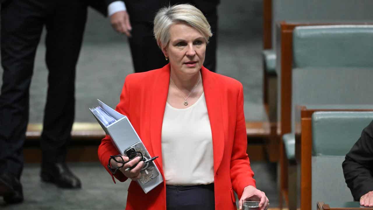 Environment Minister Tanya Plibersek in parliament.