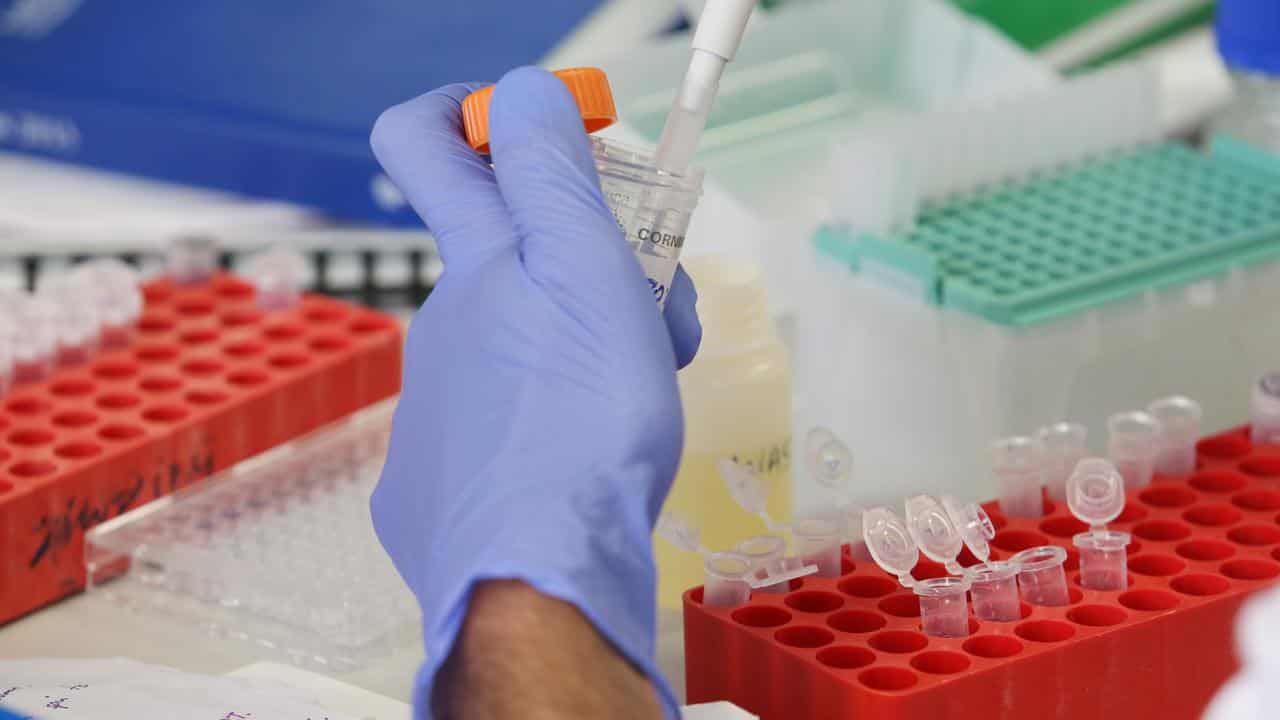 Scientist in medical lab (file image)