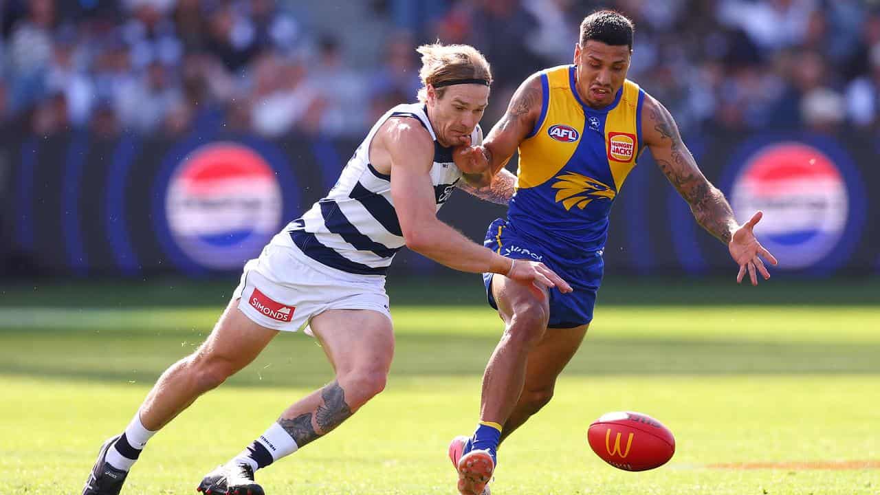 Geelong's Tom Stewart (left) and West Coast's Tim Kelly.