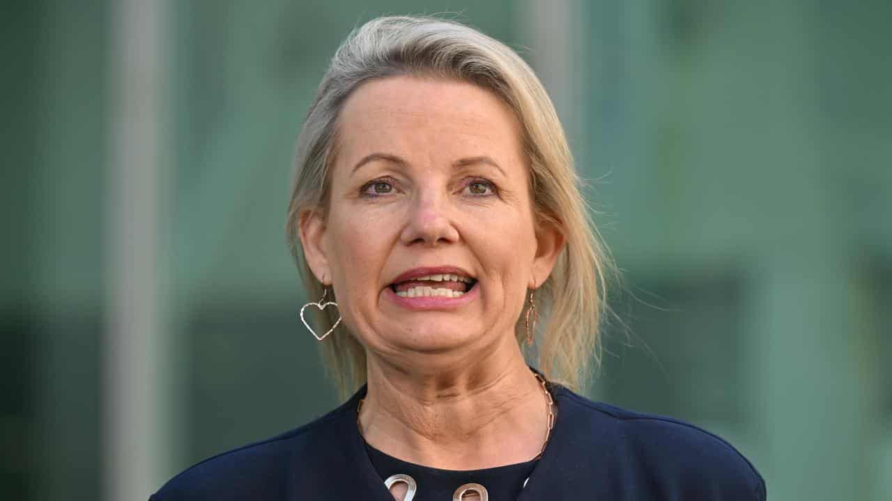 Deputy Leader of the Opposition Sussan Ley at a press conference