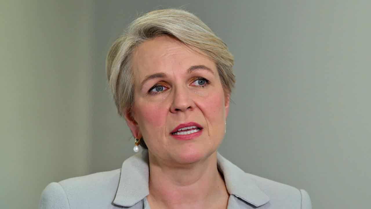 Federal Environment Minister Tanya Plibersek