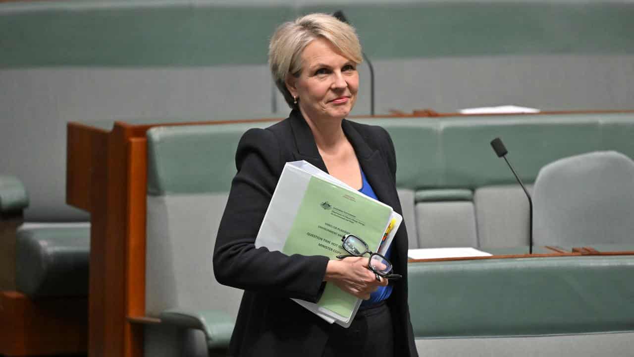 Minister for Environment Tanya Plibersek before Question Time