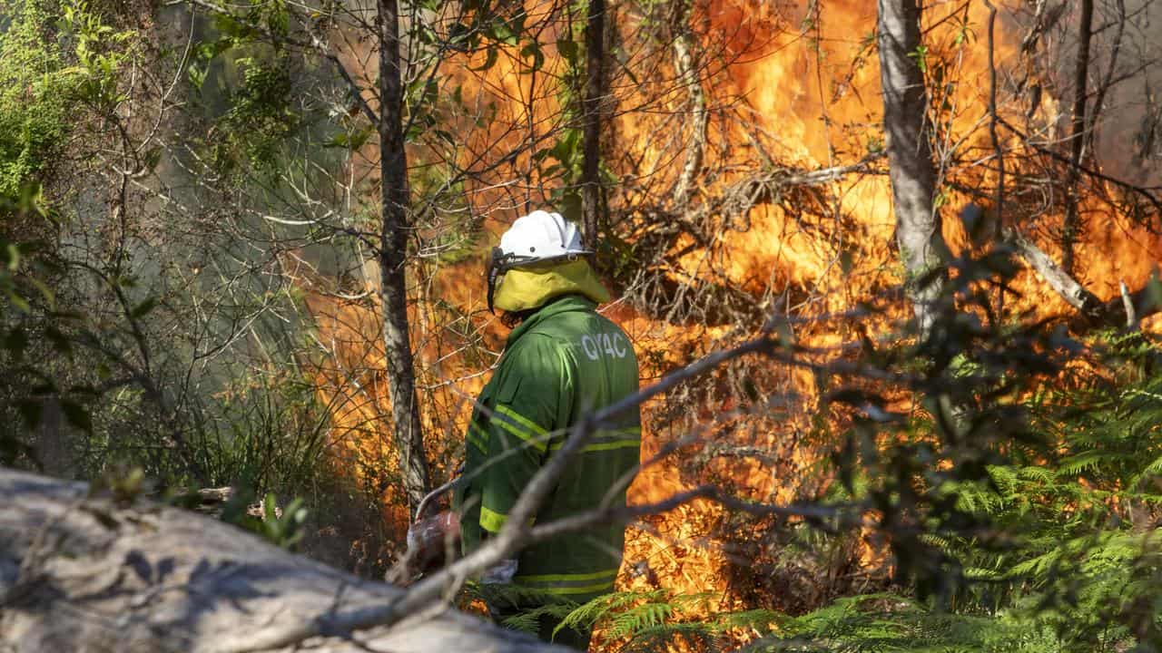 An Indigenous community member conducting a cultural burn in Qld.