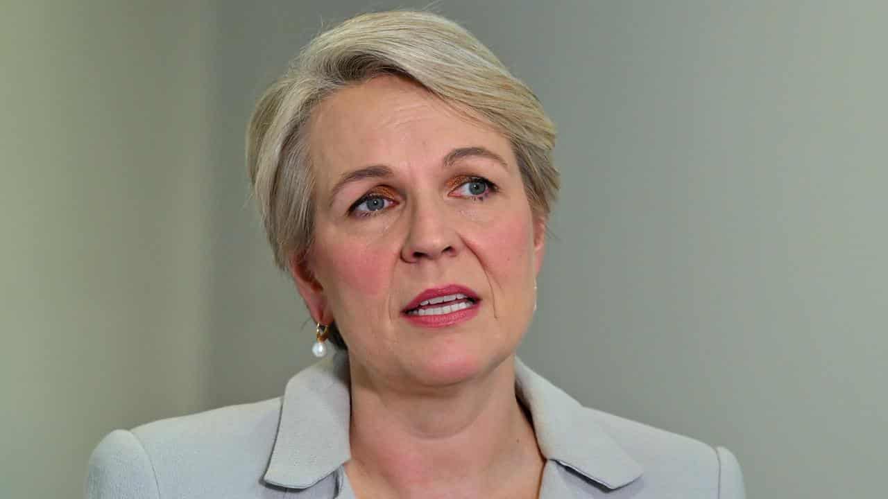 Federal Minister for Environment Tanya Plibersek